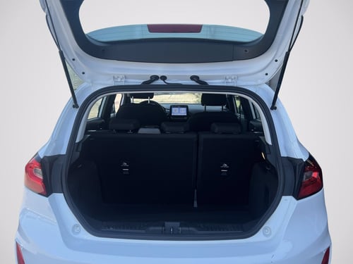 FORD Fiesta 1.0 Ecoboost Hybrid 125 CV 5 porte Titanium