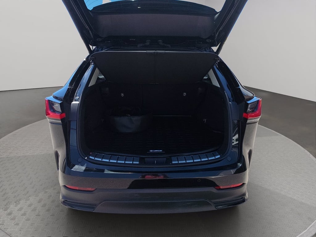 LEXUS Nx 450h+ 2.5 phev premium+ 4wd 309cv e-cvt