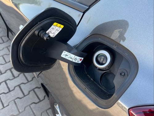 FORD Focus 1.0 EcoBoost Hybrid 125 CV 5p. ST-Line