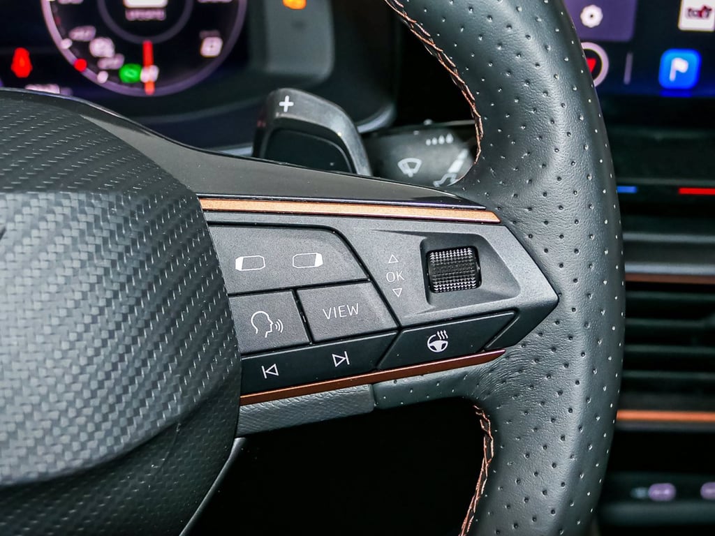 CUPRA Formentor 2.0 tdi 4drive 150cv dsg