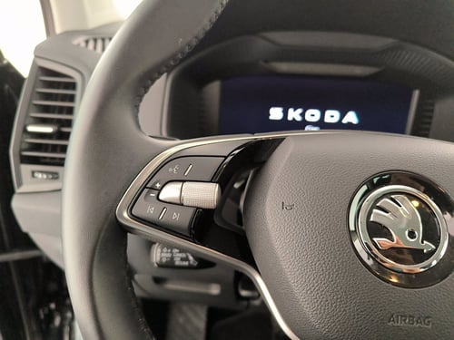 SKODA Karoq 2.0 tdi executive 150cv dsg