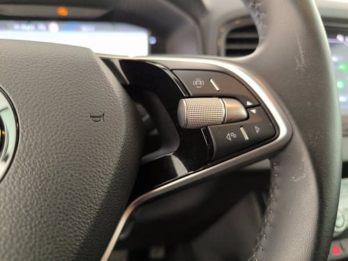 SKODA Karoq 2.0 tdi executive 150cv dsg