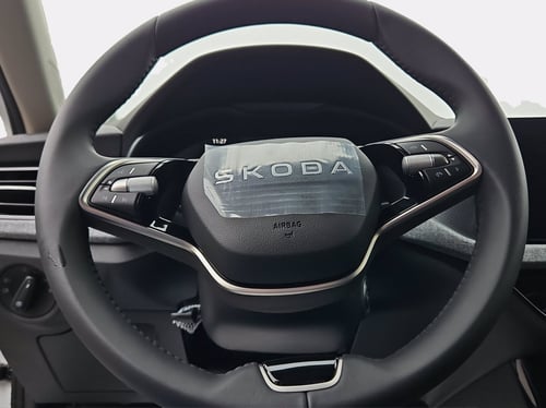 SKODA Kamiq 1.0 tsi selection 115cv dsg