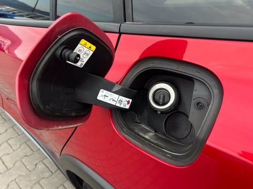 FORD Focus 1.0 EcoBoost Hybrid 125 CV Powershift SW Active X