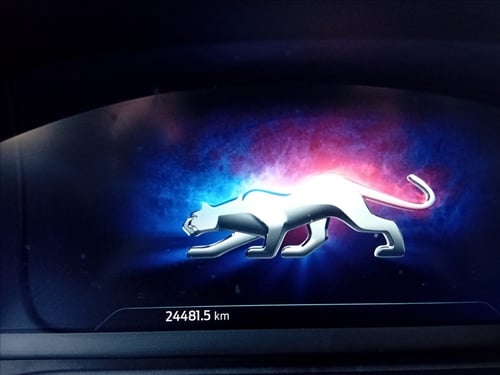 FORD Puma 1.0 ecoboost h st-line x s&s 125cv PARKING PACK