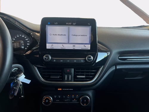 FORD Fiesta 1.0 Ecoboost Hybrid 125 CV 5 porte Titanium