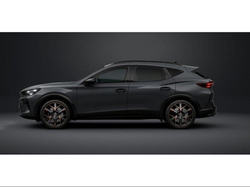 CUPRA Formentor 2.0 tsi vz 265cv dsg