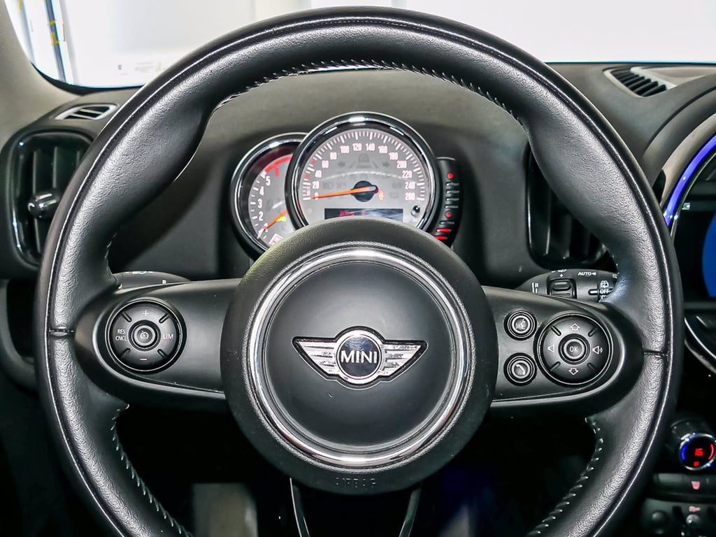 MINI Mini countryman 2.0 cooper d all4 auto