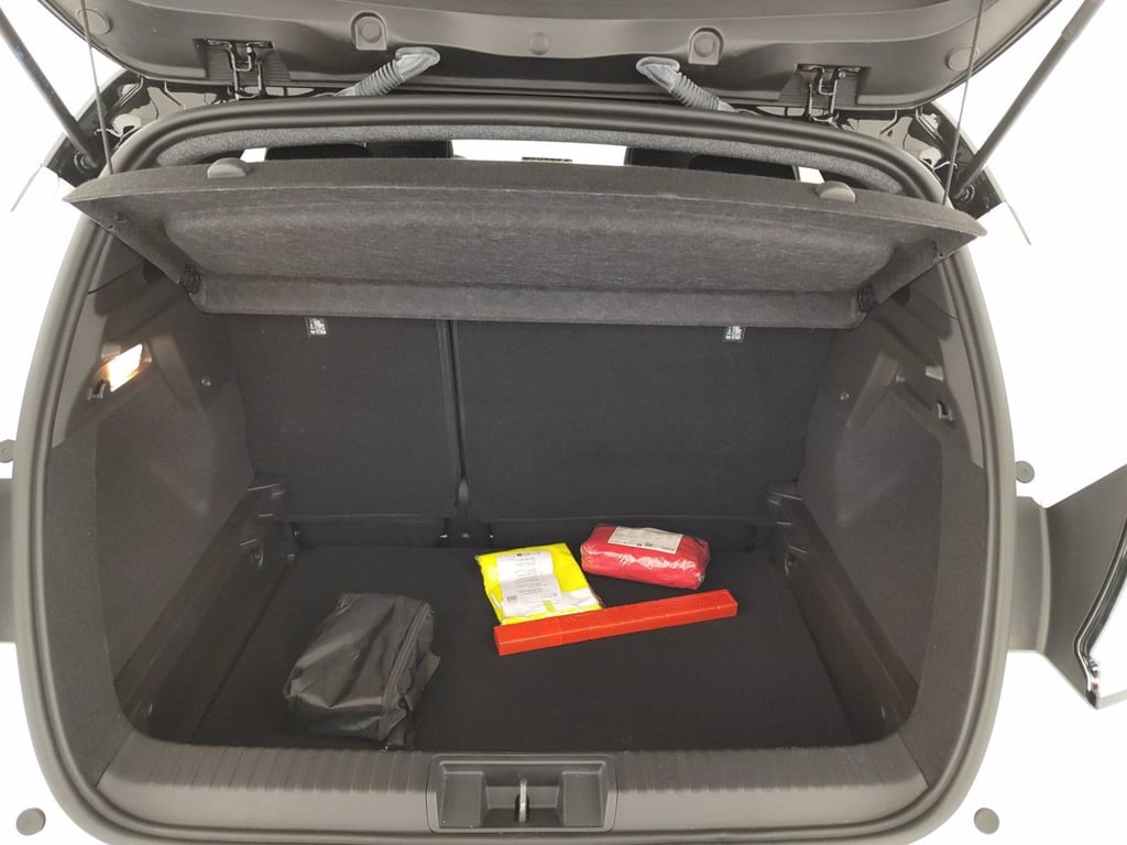 RENAULT Captur 1.0 eco-g techno 100cv