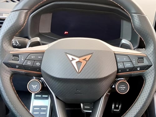 CUPRA Formentor 2.0 tdi 150cv dsg