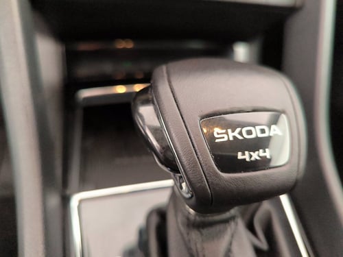 SKODA Karoq 2.0 tdi executive 4x4 150cv dsg