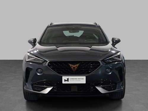 CUPRA Formentor 2.0 tdi 4drive 150cv dsg
