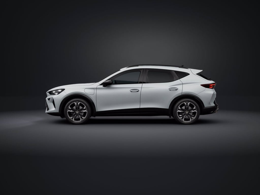 CUPRA Formentor 1.5 e-hybrid business 204cv dsg