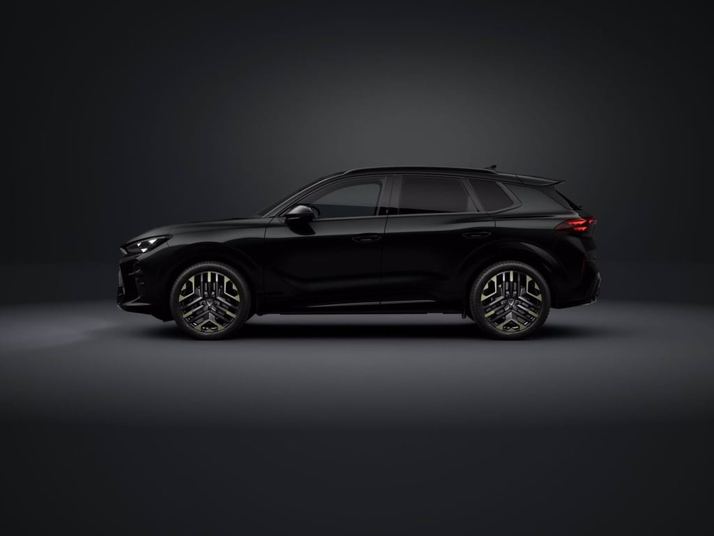 CUPRA Terramar 2.0 tsi tribe edition 4drive 204cv dsg
