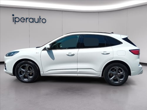FORD Kuga 1.5 ecoblue st-line 2wd 120cv auto