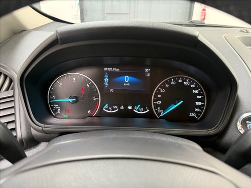 FORD Ecosport 1.5 ecoblue titanium s&s 100cv my19