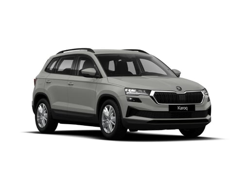 SKODA Karoq 2.0 tdi selection 150cv dsg
