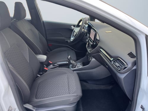 FORD Fiesta 5p 1.1 titanium gpl 75cv
