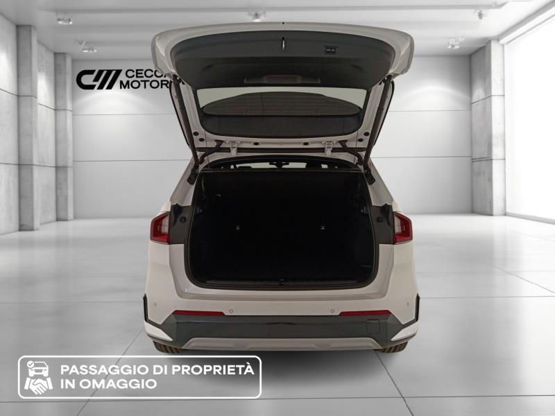 BMW X1 xdrive 25e x-line auto