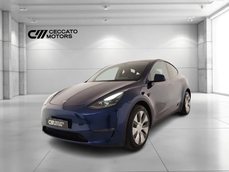 TESLA Model y long range dual motor awd