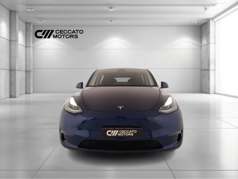 TESLA Model y long range dual motor awd