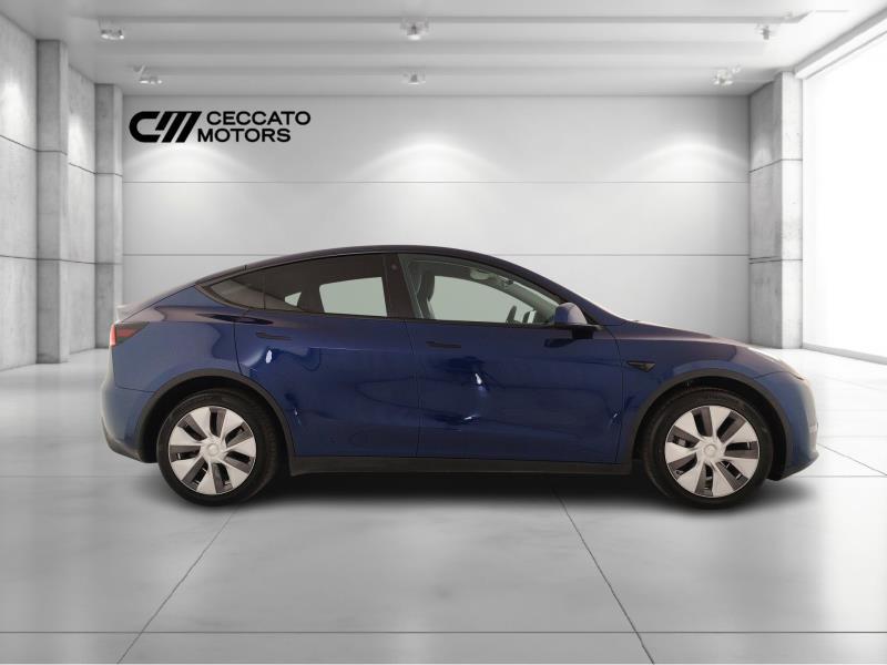 TESLA Model y long range dual motor awd