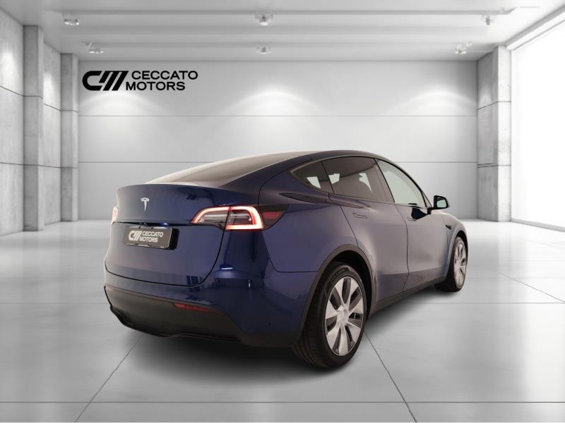 TESLA Model y long range dual motor awd