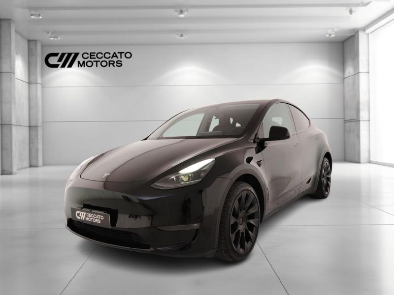TESLA Model y long range dual motor awd