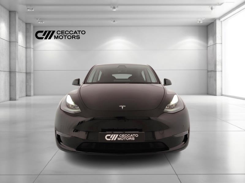 TESLA Model y long range dual motor awd