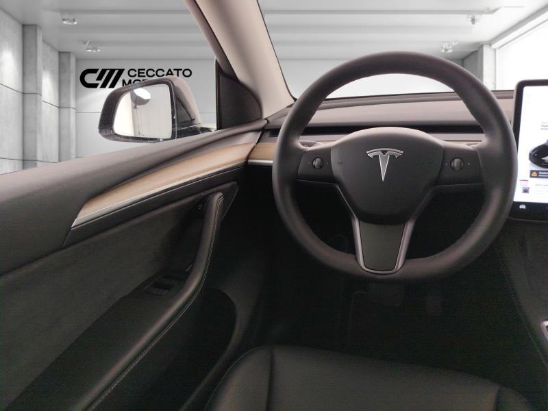 TESLA Model y long range dual motor awd