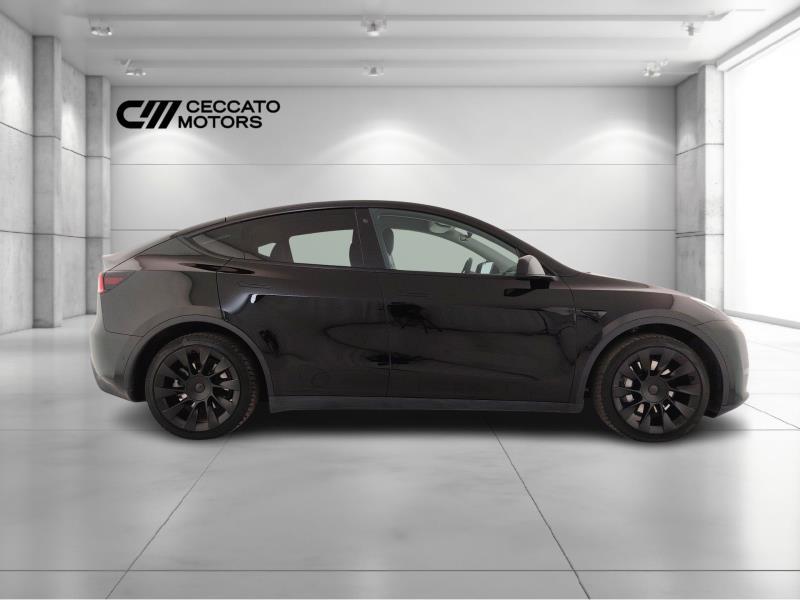 TESLA Model y long range dual motor awd