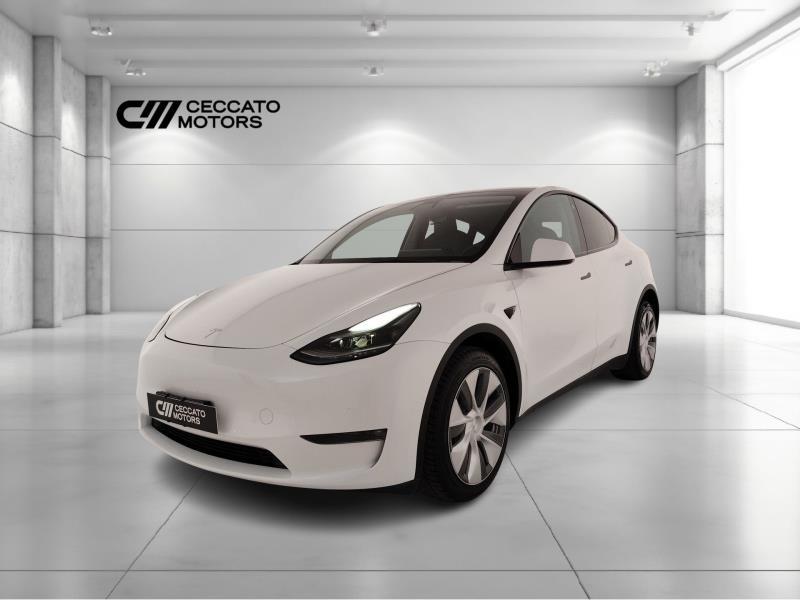 TESLA Model y long range dual motor awd
