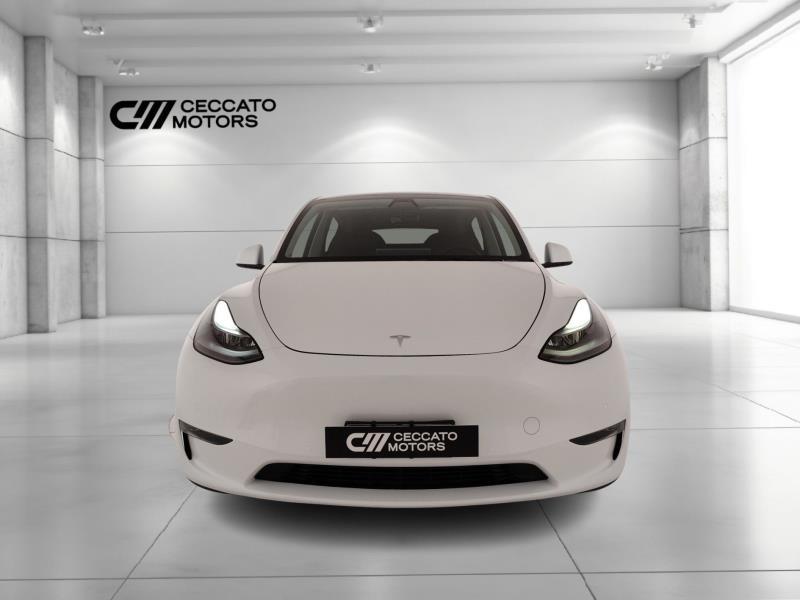 TESLA Model y long range dual motor awd