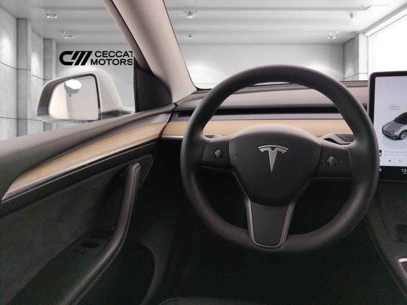 TESLA Model y long range dual motor awd