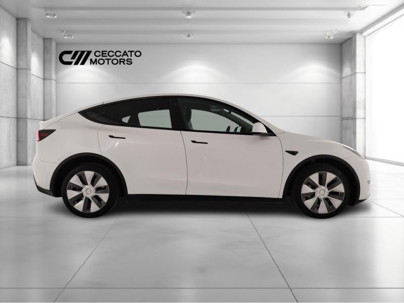 TESLA Model y long range dual motor awd