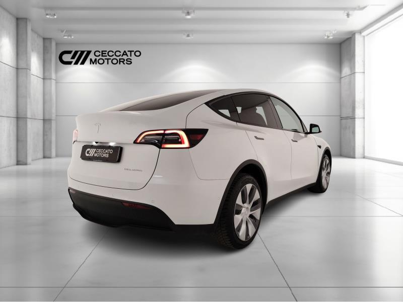 TESLA Model y long range dual motor awd