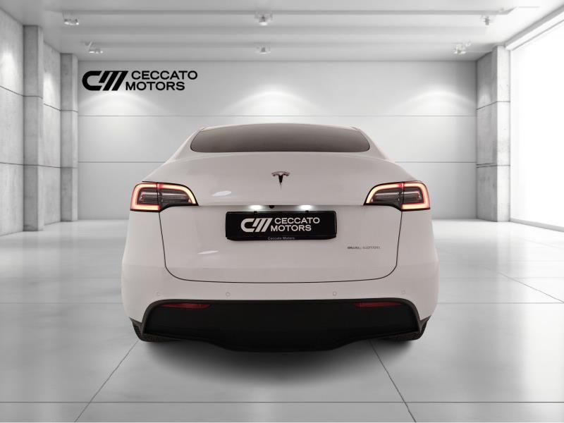 TESLA Model y long range dual motor awd