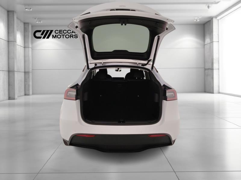 TESLA Model y long range dual motor awd