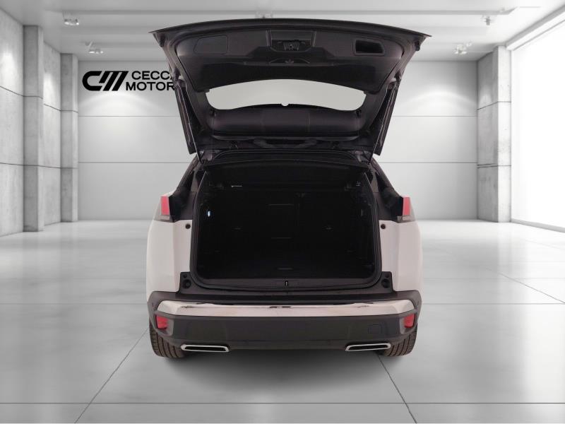 PEUGEOT 3008 1.6 bluehdi business s&s 120cv eat6