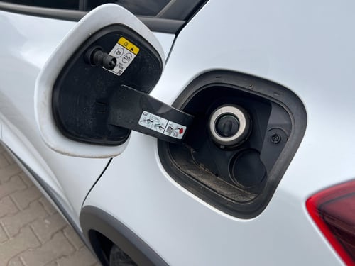 FORD Focus 1.0 EcoBoost Hybrid 125 CV Powershift 5p. Active
