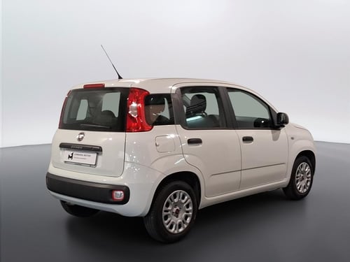 FIAT Panda 1.2 easy s&s 69cv my19