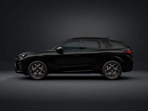 CUPRA Terramar 2.0 tsi 4drive 204cv dsg