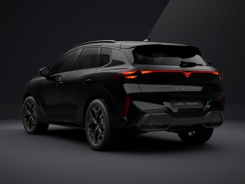 CUPRA Terramar 2.0 tsi 4drive 204cv dsg