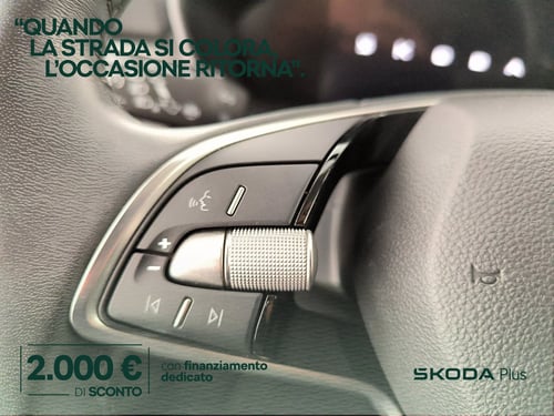 SKODA Fabia 1.0 tsi young edition 95cv