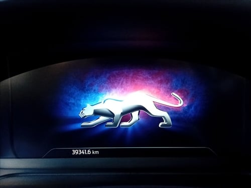 FORD Puma 1.0 ecoboost h titanium x s&s 125cv