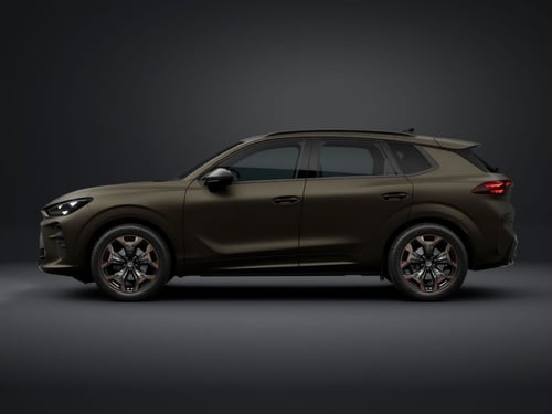 CUPRA Terramar 2.0 tsi 4drive 204cv dsg