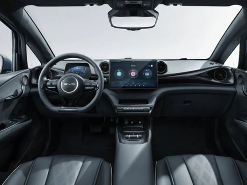 BYD Dolphin 60,4 kwh design