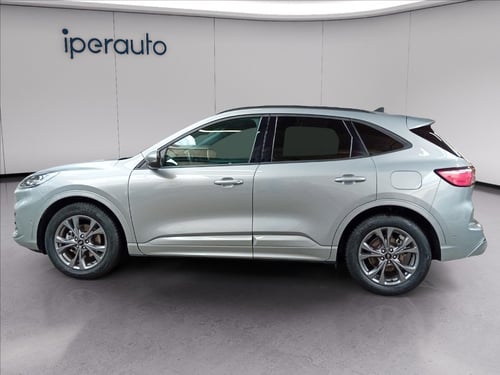 FORD Kuga 2.5 full hybrid st-line x 2wd 190cv cvt