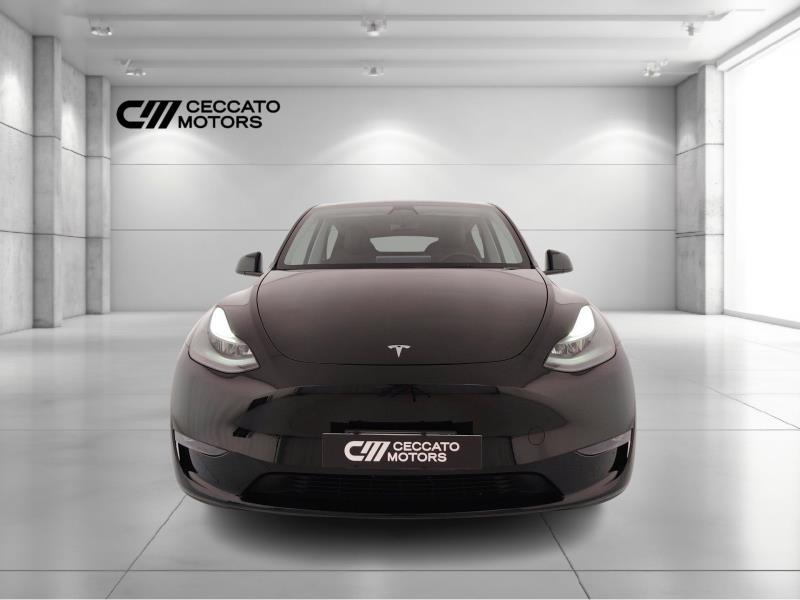 TESLA Model y performance dual motor awd