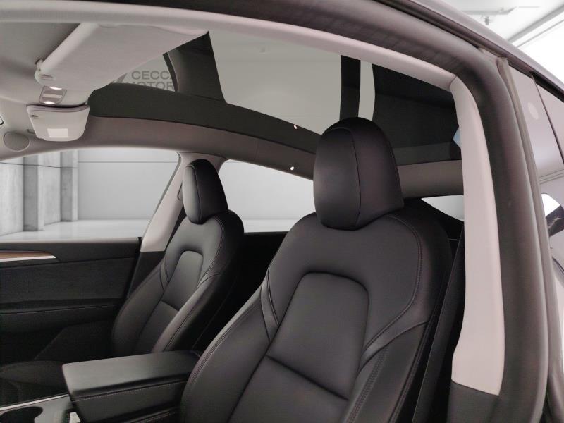 TESLA Model y performance dual motor awd